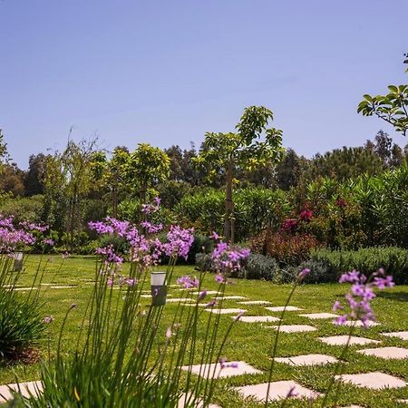 Mear Holiday Homes - Cretan Summer Getaways Kountoura Selino 外观 照片