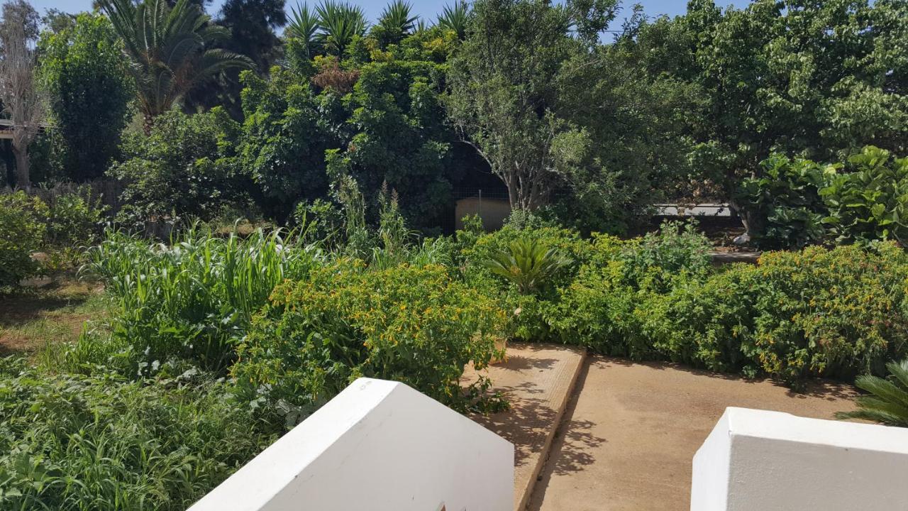 Mear Holiday Homes - Cretan Summer Getaways Kountoura Selino 外观 照片