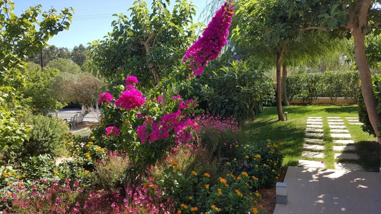 Mear Holiday Homes - Cretan Summer Getaways Kountoura Selino 外观 照片